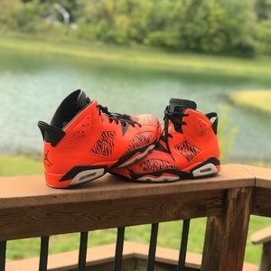 Jordan 6 Tigers